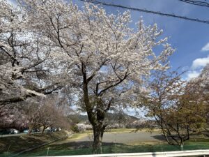 20250405_232440139_iOS