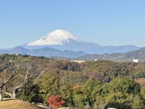 20251125_231344502_iOS