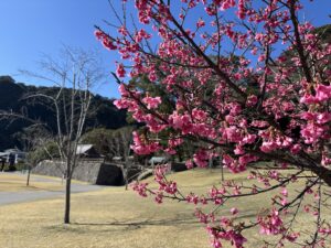 20260218_053354687_iOS