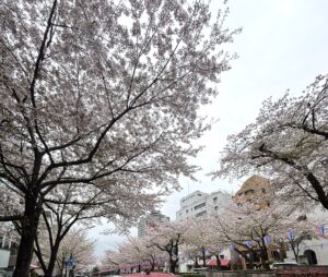 20260404_030257964_iOS